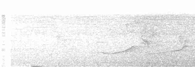 Turuncu Gagalı Bülbül Ardıcı - ML619080557