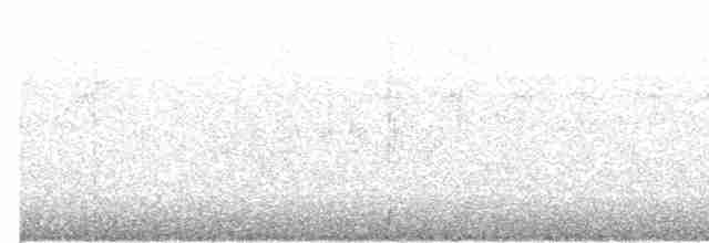 gråstrupetrost - ML619081251