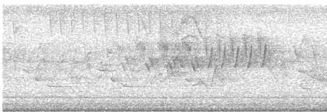 Cerulean Warbler - ML619081503