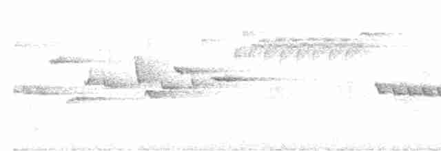 Chochín Hiemal - ML619081573
