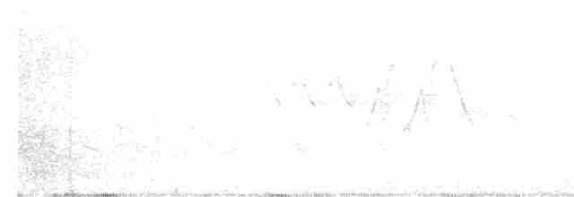 Червоїд золотокрилий - ML619081620