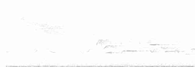 סבכון לבן-זנב - ML619081631