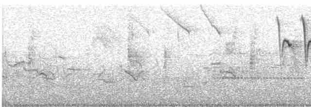 gulparula (aestiva gr.) - ML619081716