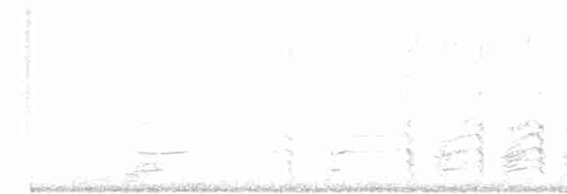 præriegråmåke - ML619081763
