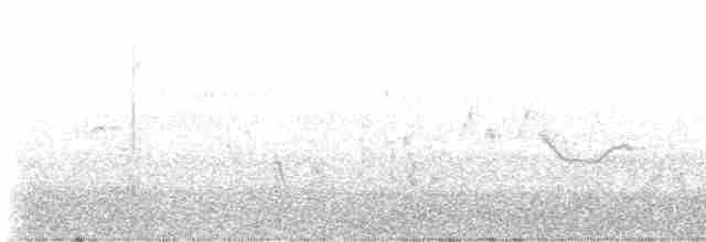 tyranovec malinký - ML619081881