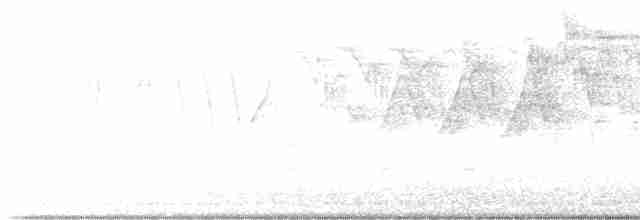 tyranovec olšový - ML619081985