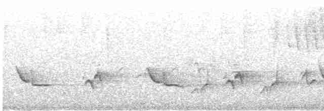 Голубокрылая червеедка - ML619082333