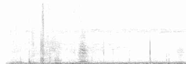 Поплітник каролінський - ML619082404