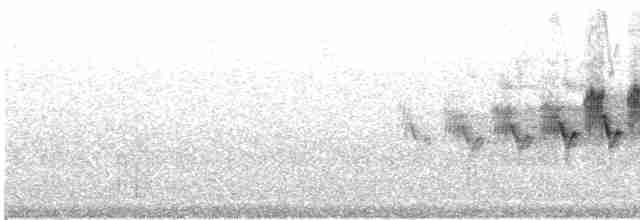 Cerulean Warbler - ML619083707