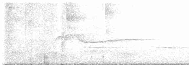 Kentucky Warbler - ML619083824