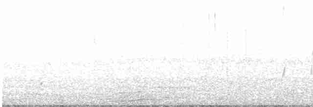 Красноглазая монашка - ML619084818