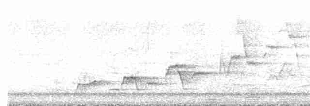 Дрізд-короткодзьоб Cвенсона - ML619084917