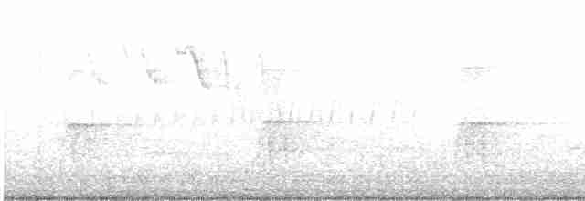 Oriole de Bullock - ML619085020