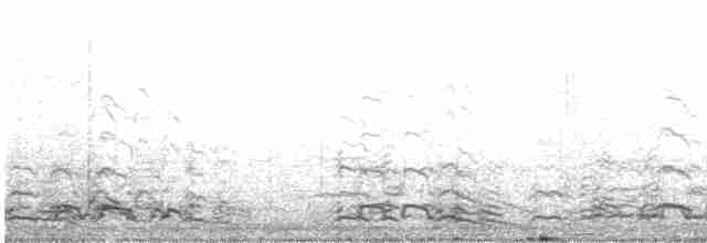 אווז לבן-מצח - ML619085088