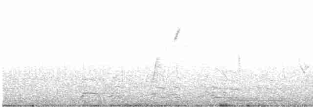 Миртовый певун (coronata) - ML619085096