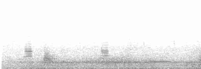 Малая морская чернеть - ML619085119