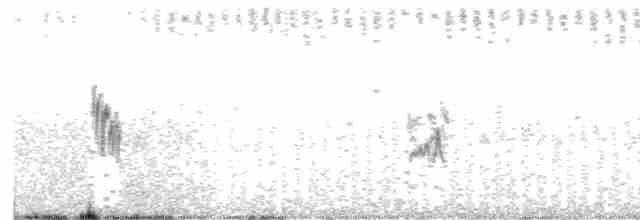 Жайворонок сомалійський (підвид athensis) - ML619085137