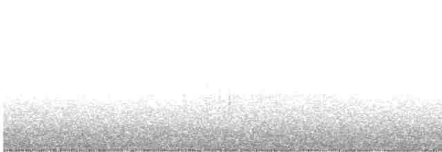 Полосатохвостый голубь - ML619085169