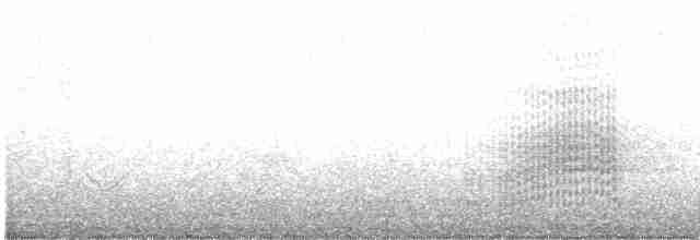 Полосатохвостый голубь - ML619085170