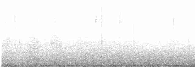 Paruline à croupion jaune (coronata) - ML619085352