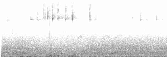 Paruline à croupion jaune (coronata) - ML619085354