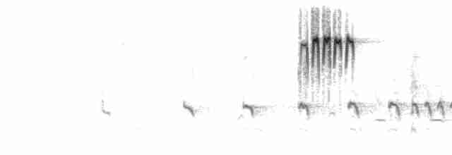 Серый ополовничек [группа minimus] - ML619085450