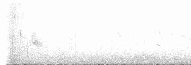 tyranovec vrbový - ML619085479