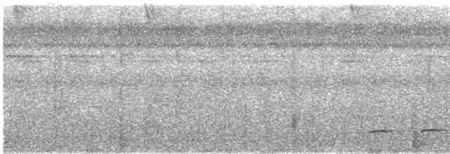 Chevêchette à tête grise - ML619085890