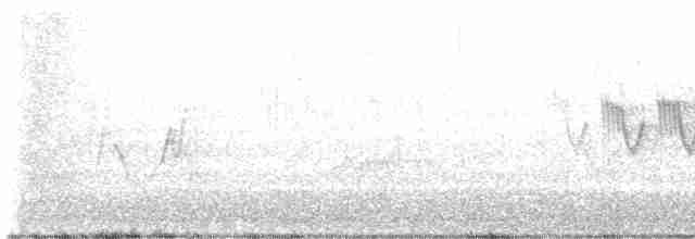Cerulean Warbler - ML619086012