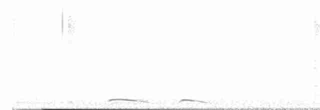 holoubek mexický - ML619086048