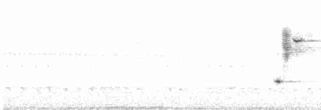 גיבתונית רוננת - ML619086108