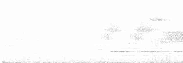 גיבתונית רוננת - ML619086114