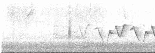 Черногорлая хвойница x Северная желтогрудка (гибрид) - ML619086134