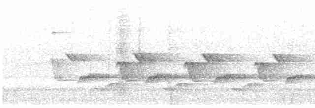 Каролинский крапивник - ML619086621