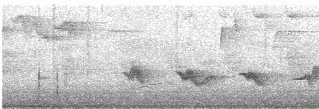 Чернокрылая пиранга - ML619087360