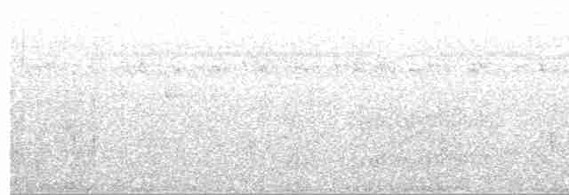 Şeritli Karıncaavcısı [doliatus grubu] - ML619087397
