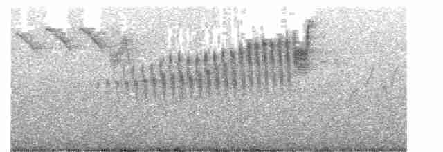 Cerulean Warbler x Northern Parula (hybrid) - ML619087399