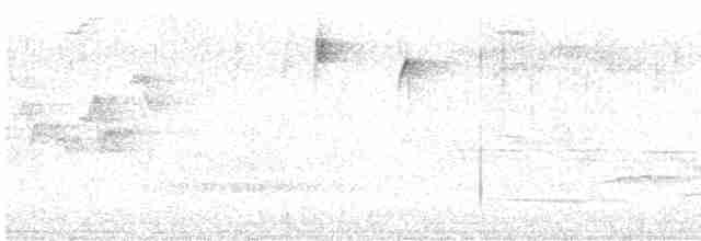 Дрізд-короткодзьоб плямистоволий - ML619087747