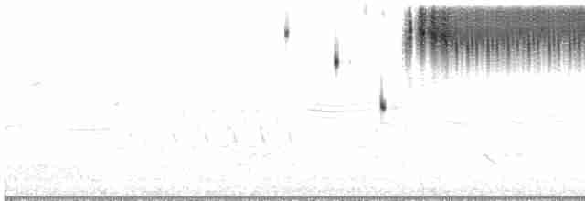Bruant sauterelle - ML619089001