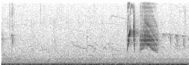 tyranovec vrbový - ML619089128