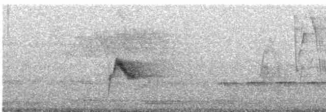 Gri Yanaklı Bülbül Ardıcı - ML619089507