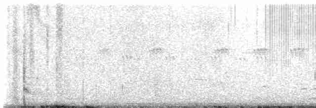 紅喉潛鳥 - ML619090035