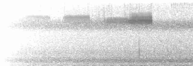 Каролинский крапивник - ML619091366