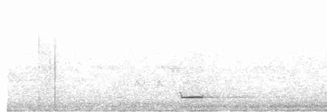 Сплюшка євразійська - ML619093653