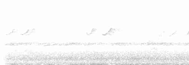 Einsiedelwasserläufer - ML619093701