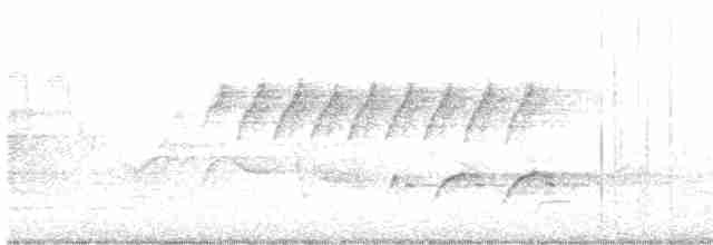 Голубокрылая червеедка - ML619093732