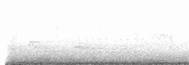lesňáček modropláštíkový - ML619096818