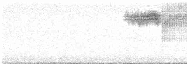 Голубокрылая червеедка - ML619096984