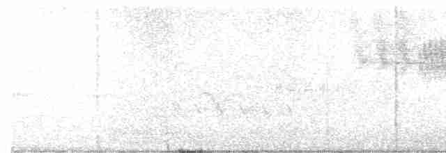 Голубокрылая червеедка - ML619097098