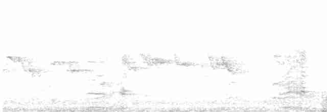 Австралийская султанка - ML619097303